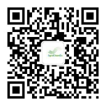 1624935181902919.png image.png