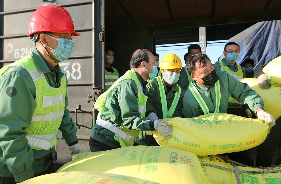 1638924378570365.jpg 01.jpg